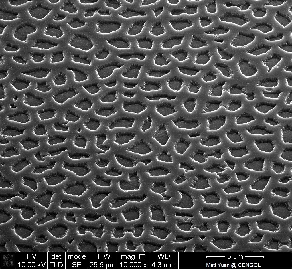 碳化硅表面亚微米减反射结构