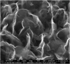 Structure of PECVD vertical Graphene